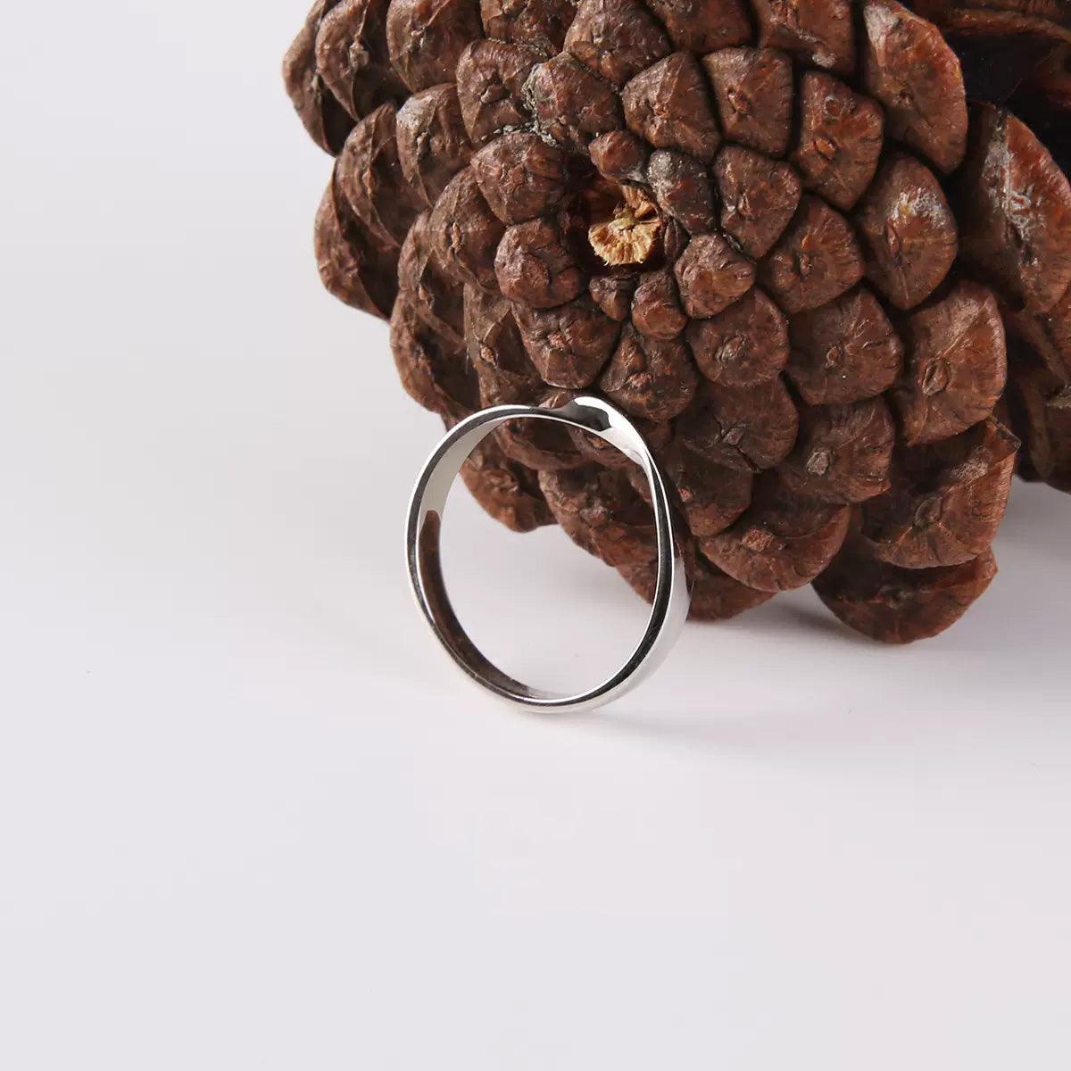 Pt999 Pure Platinum Möbius Ring - LOVELY ROBIN