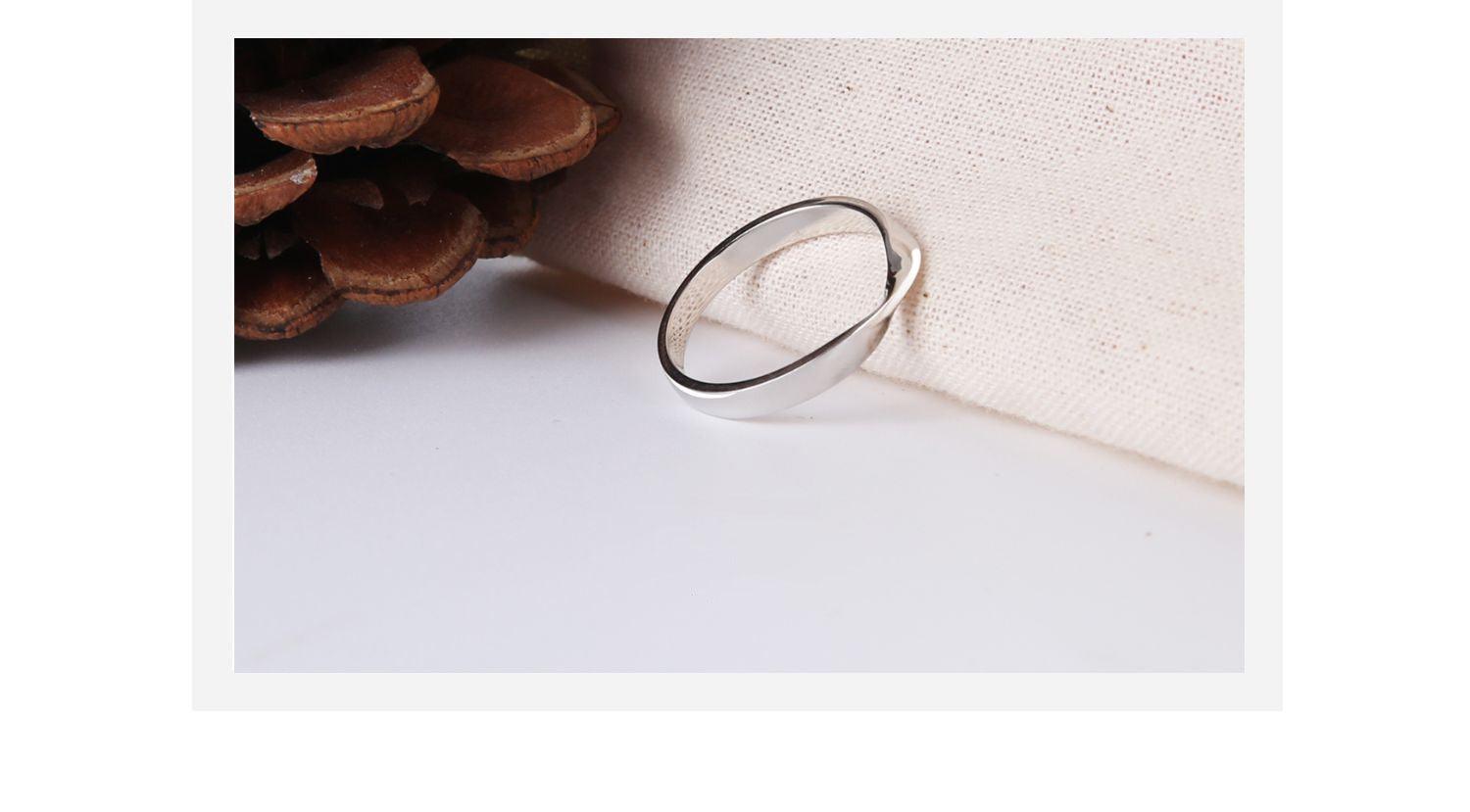 Pt999 Pure Platinum Möbius Ring - LOVELY ROBIN