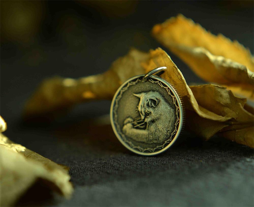 Custom Photo Commemorative Silver Coin - LOVELY ROBIN