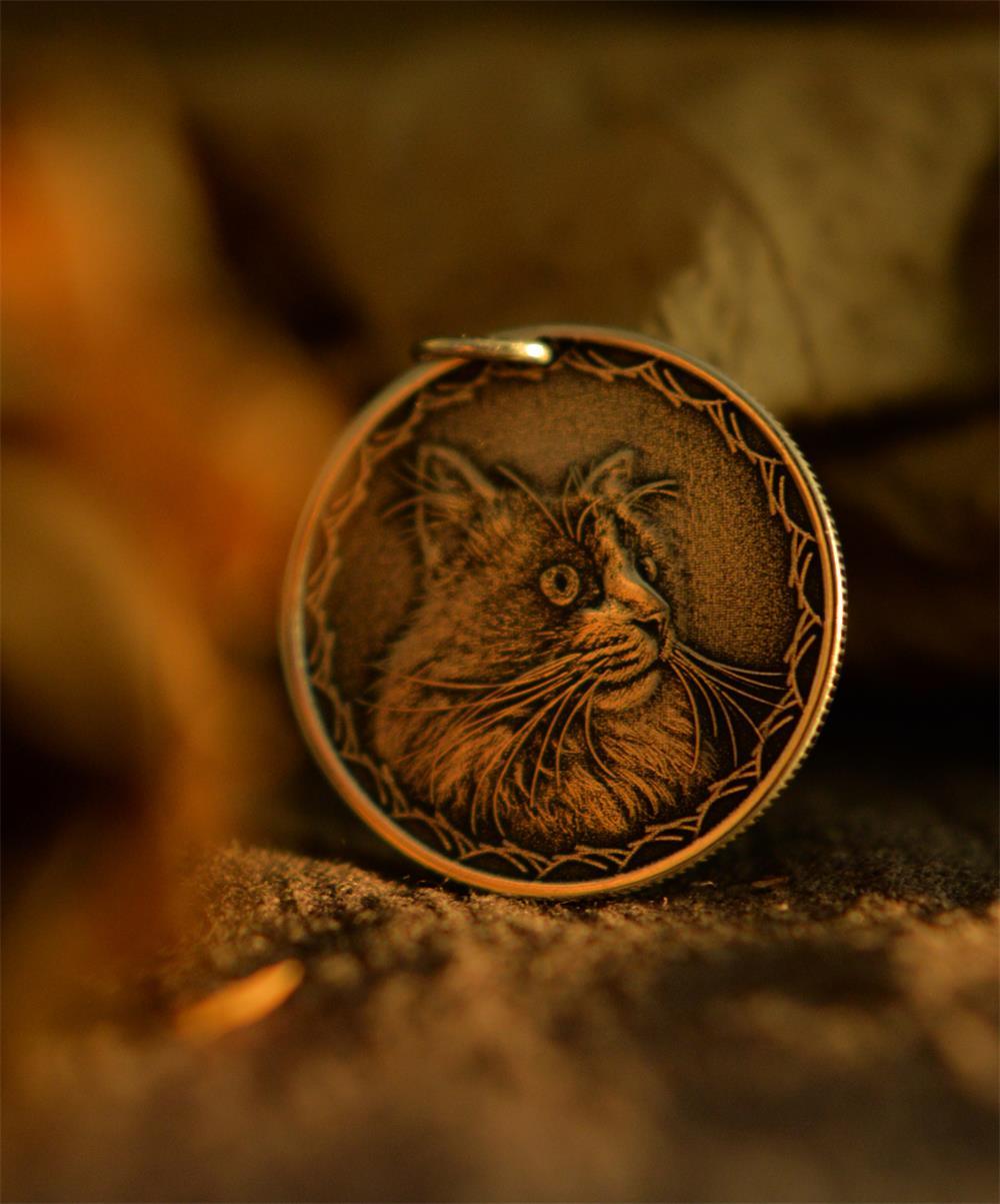 Custom Photo Commemorative Silver Coin - LOVELY ROBIN