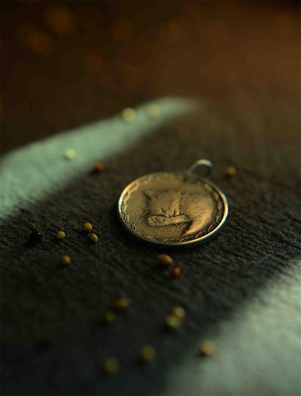 Custom Photo Commemorative Silver Coin - LOVELY ROBIN