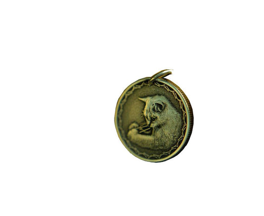 Custom Photo Commemorative Silver Coin - LOVELY ROBIN